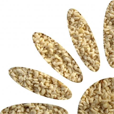 Flower_nut.jpg