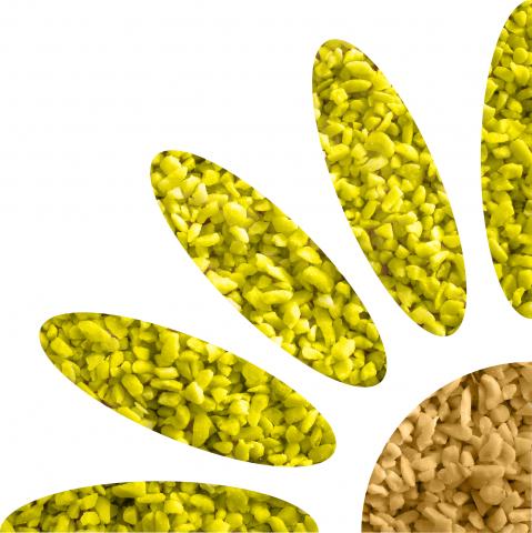 Flower_nut_COLOUR.jpg